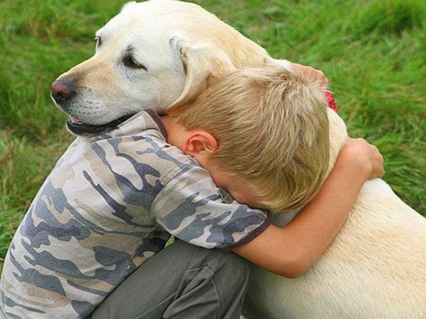 Прощание с собакой