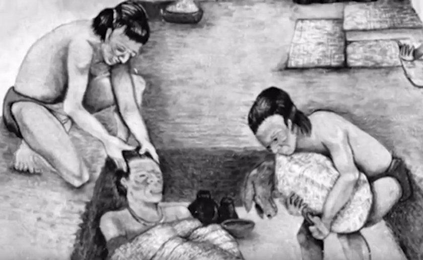 История породы