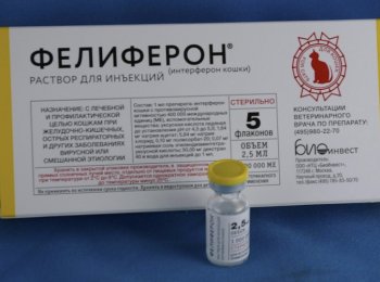 «Фелиферон» — как и сколько дней колоть кошке