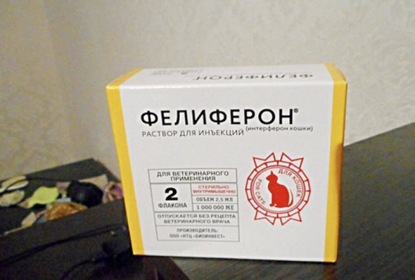 Фелиферон для кошек цена