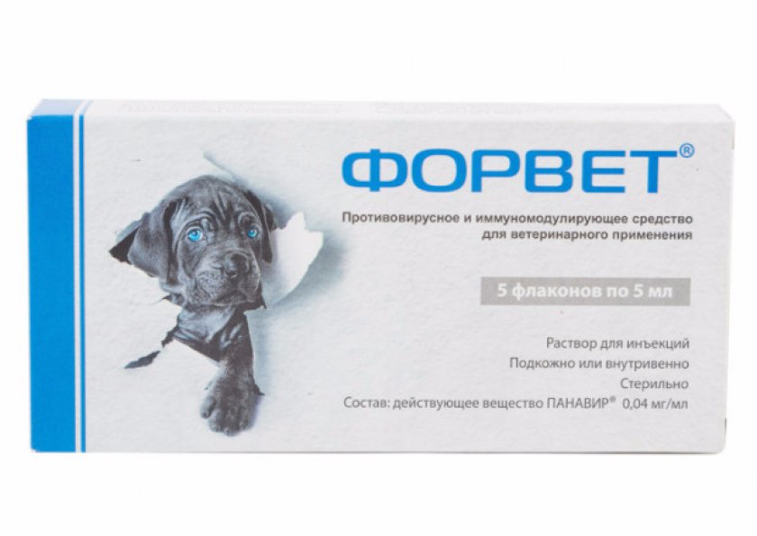 Форвет для собак