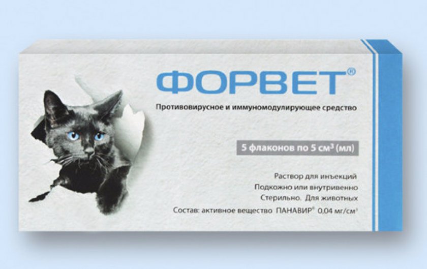 Форвет для кошек