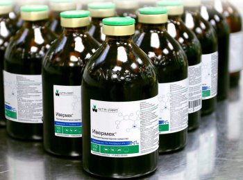 Как колоть «Ивермек» кошке и собаке