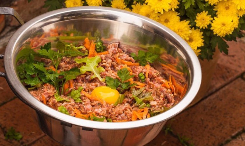 Питание Питание