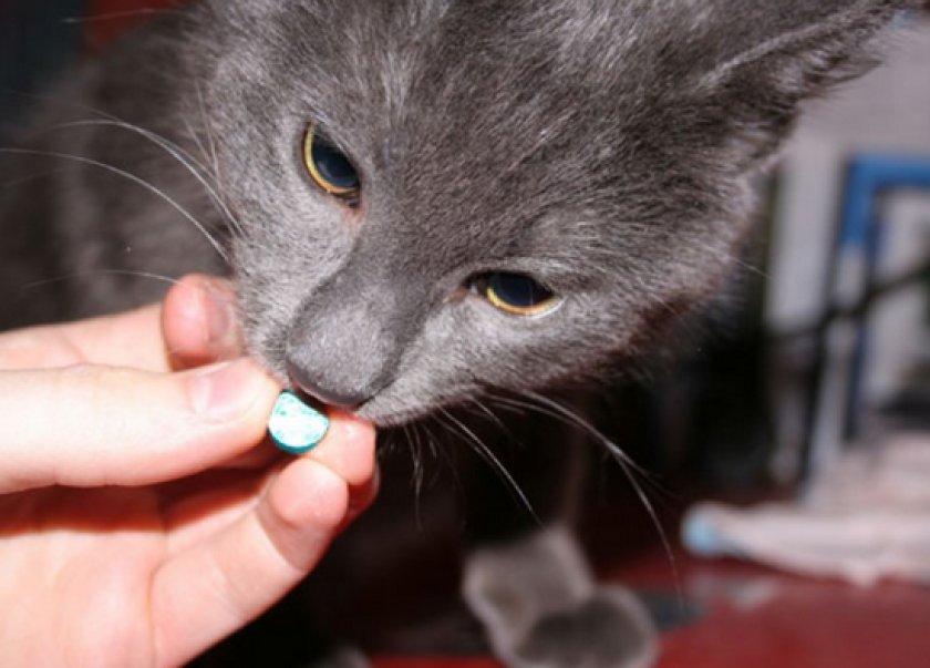 Медикаменты от глистов