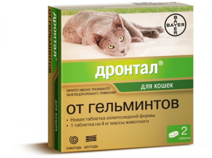 Медикаменты от глистов