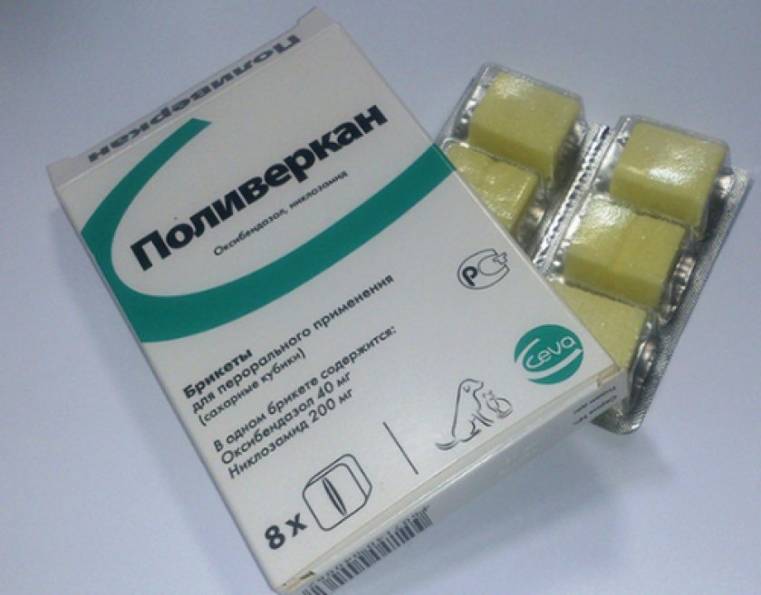 Медикаменты от глистов Медикаменты от глистов