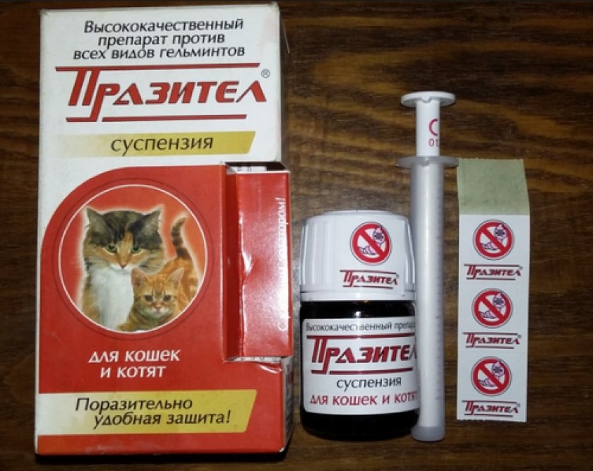 Таблетки от глистов для кошек: описание и характеристика популярных ...