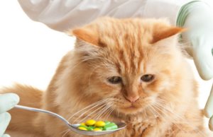 Медикаменты от глистов