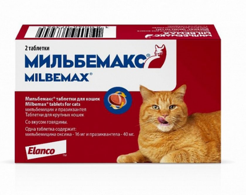 таблеток от глистов таблеток от глистов