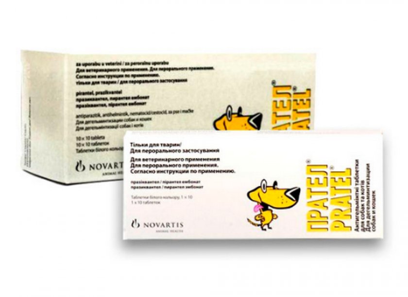 таблеток от глистов таблеток от глистов