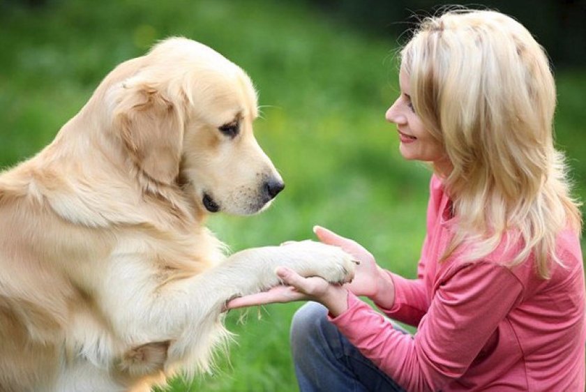 Нюансы обучения Нюансы обучения