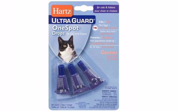 Hartz Hartz