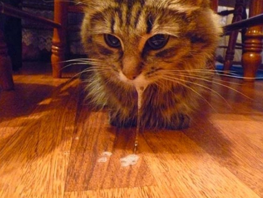 Обильное слюноотделение