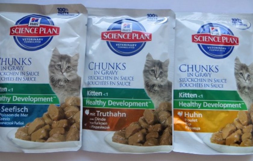 Влажный корм