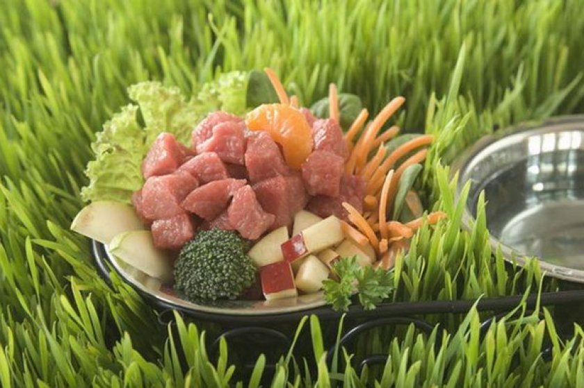 Питание собаки