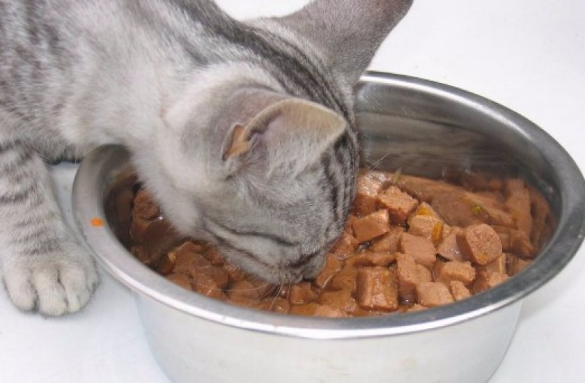 Консервы для кошек