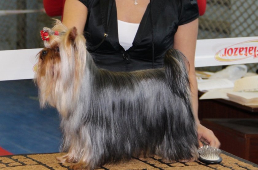 Косметическая