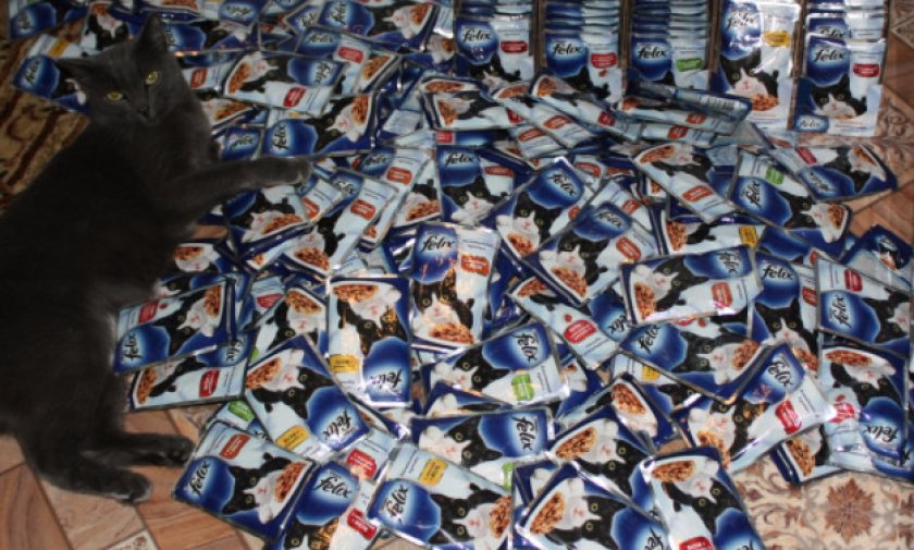 Корм Феликс