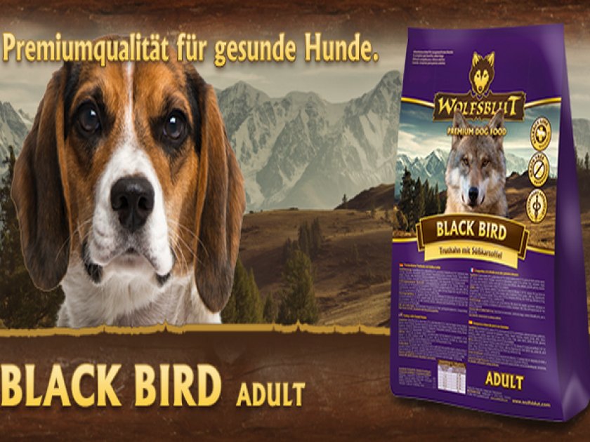 Корм для собак «Wolfsblut»