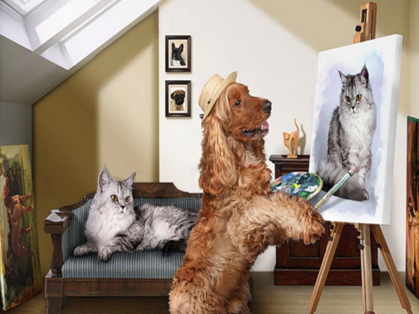 Собака Собака