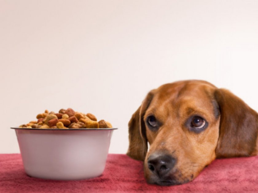 «1st CHOICE» «1st CHOICE»