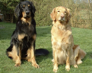 Ховаварт Ховаварт