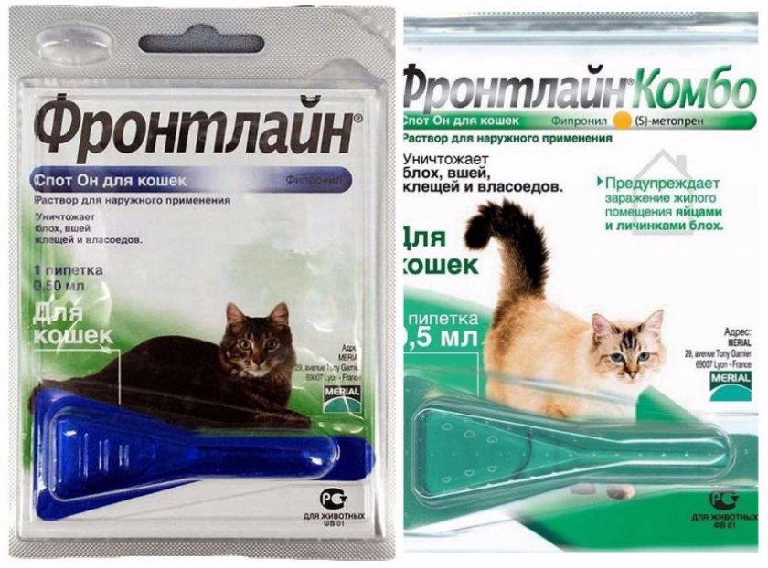Фронтлайн для кошек