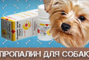 Как применять «Пропалин» для собак