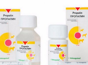 Как применять «Пропалин» для собак