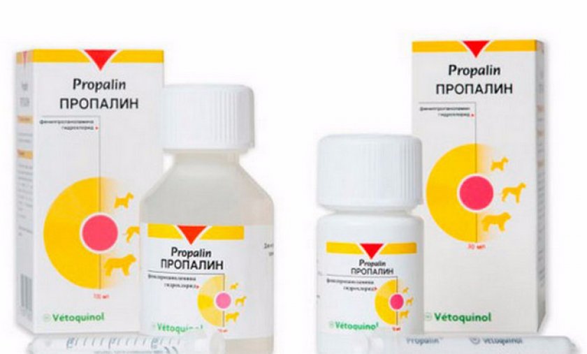 Как применять «Пропалин» для собак