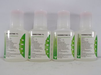 Как использовать «Ивермектин» для собак и кошек