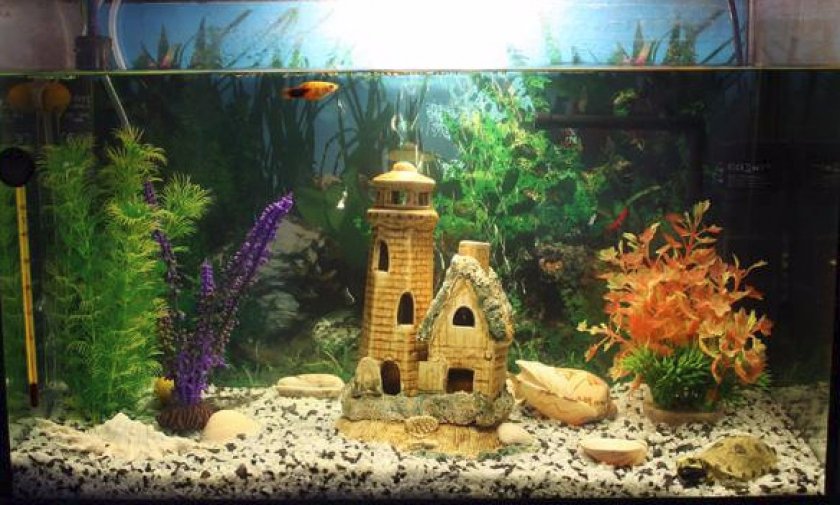 Оборудуем домик для рыб