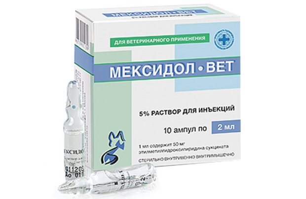 «Мексидол» «Мексидол»
