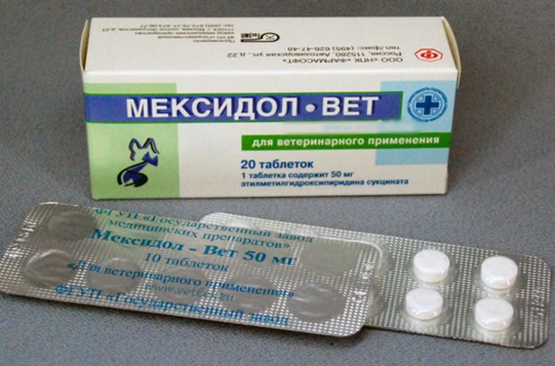 «Мексидол» «Мексидол»