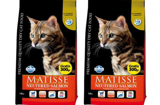 Matisse Matisse