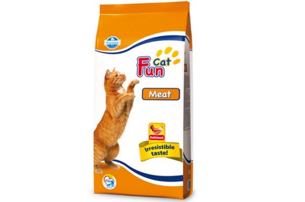 Fun Cat Fun Cat