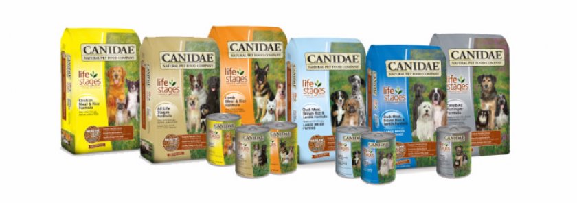 Canidae Canidae