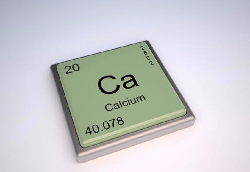 Что такое эклампсия и почему она бывает у кошек